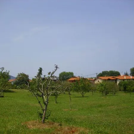 Villa Maria Asturias *